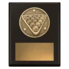 sp629a-black Black challenge plaque - pool with timber construction
