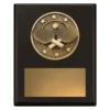 sp666a-black Black challenge plaque - table tennis with timber construction