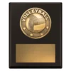 sp627a-black Black challenge plaque - volleyball with timber construction