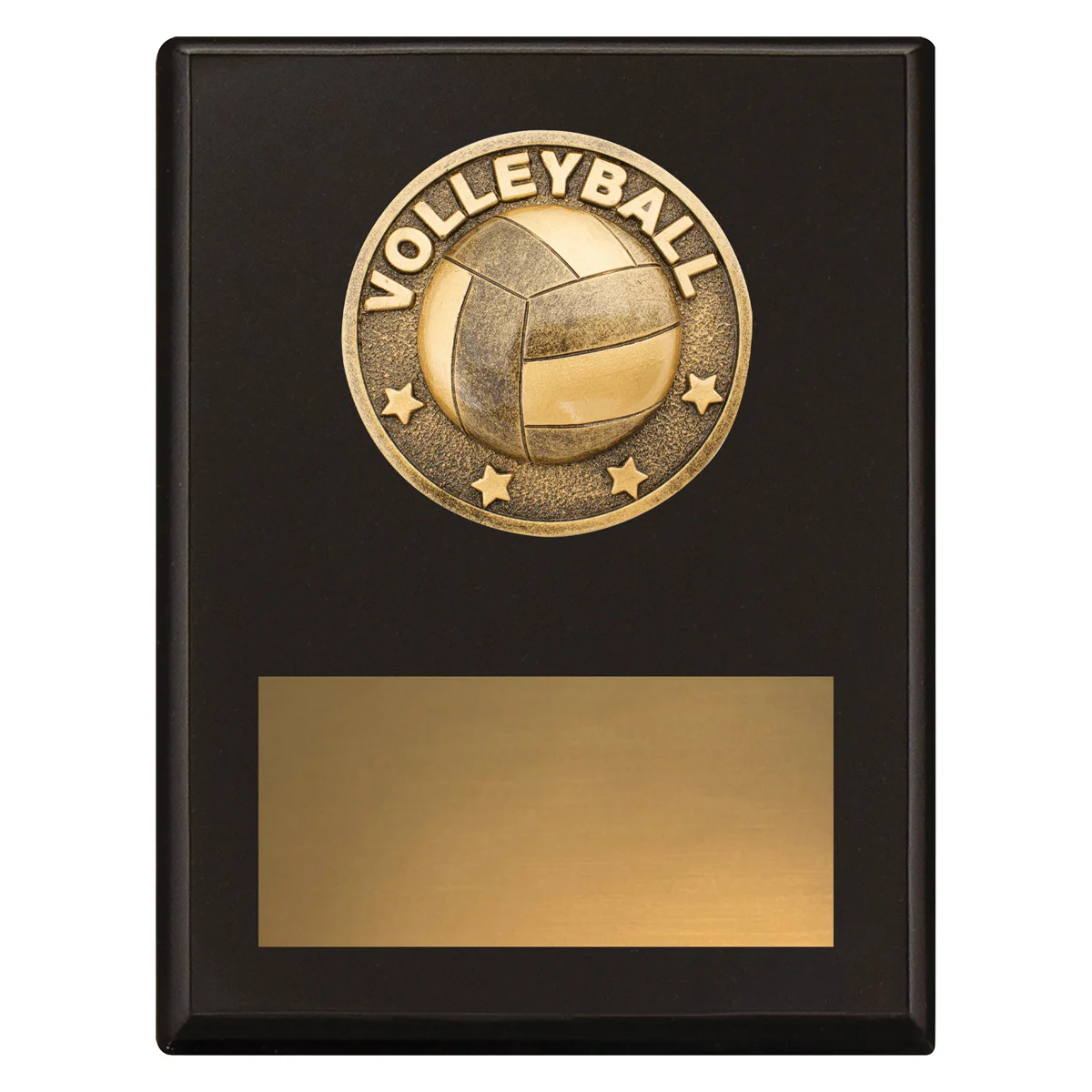 sp627b-black Black challenge plaque - volleyball with timber construction