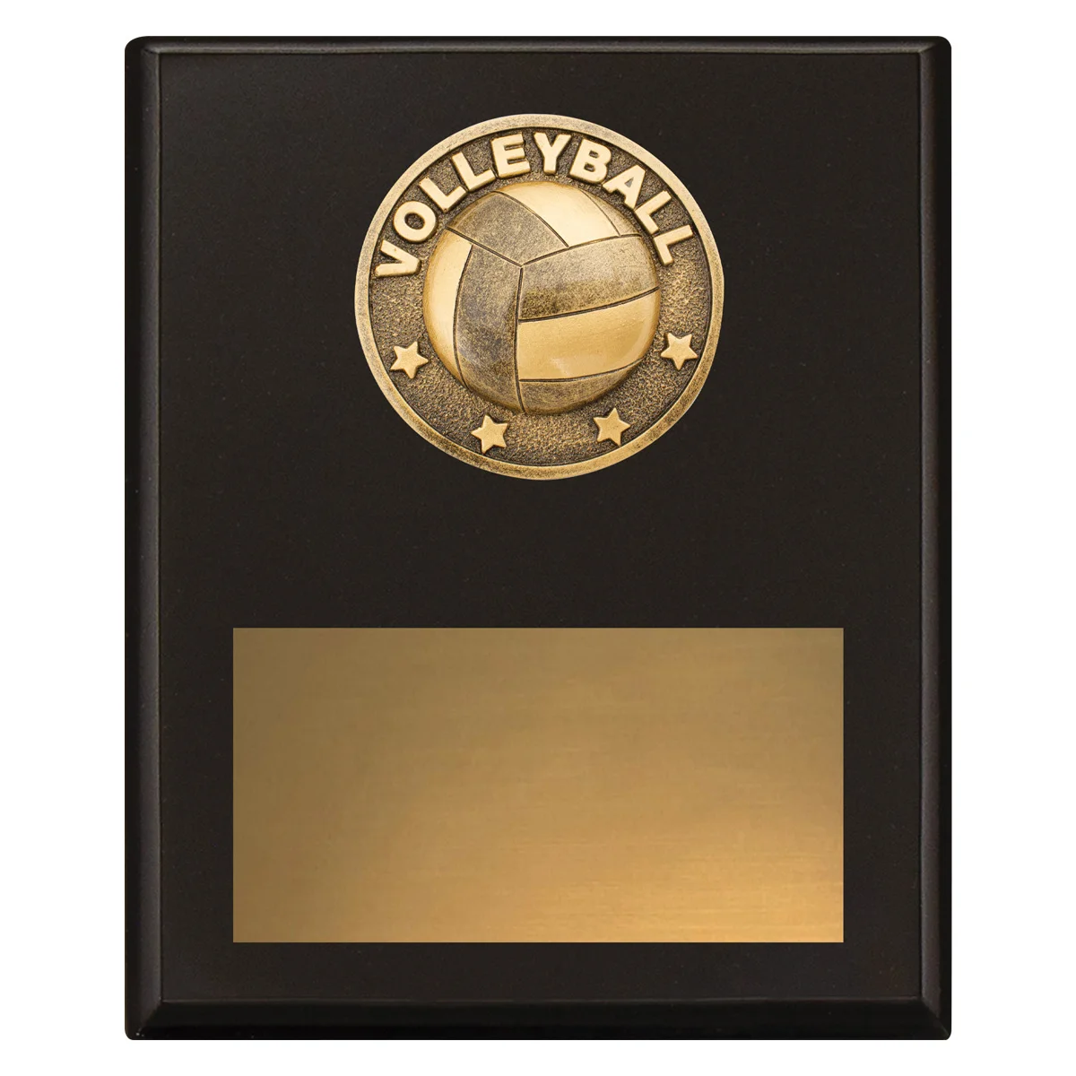 sp627c-black Black challenge plaque - volleyball with timber construction