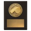sp641a-black Black challenge plaque - whistle with timber construction