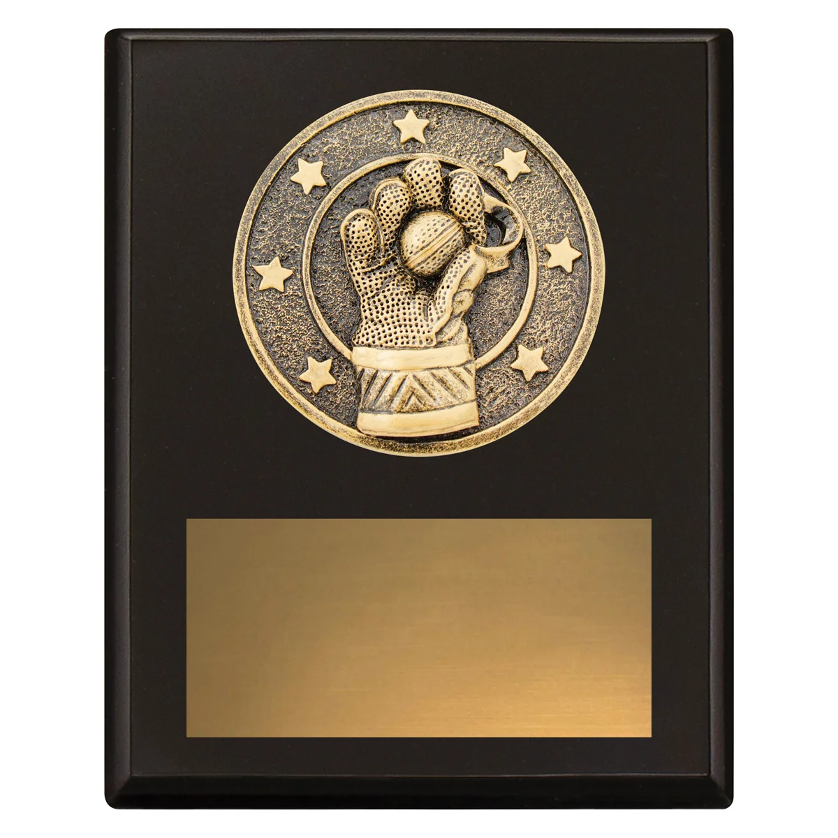 sp690a-black Black challenge plaque - wicketkeeping with timber construction