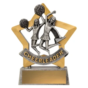 Silver cheer mini star with resin construction