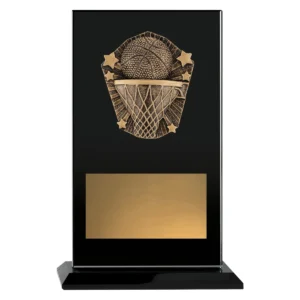 Black cosmos glass - basketball with glass construction