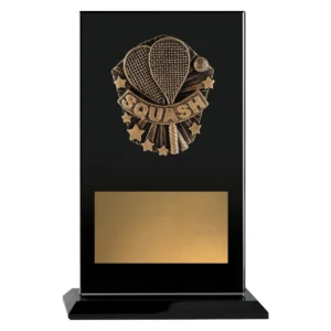 Black cosmos glass - squash with glass construction