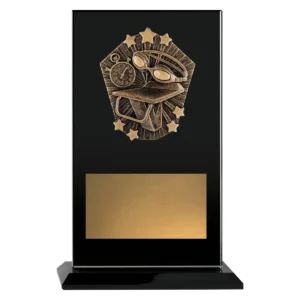 Black cosmos glass - swim with glass construction