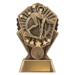 Gold cosmos - male swimmer with resin construction