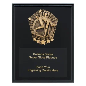 Black cosmos super plaque - female swim with timber construction