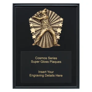 Black cosmos super plaque - male with timber construction
