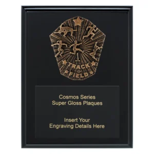 Black cosmos super plaque - track & field with timber construction