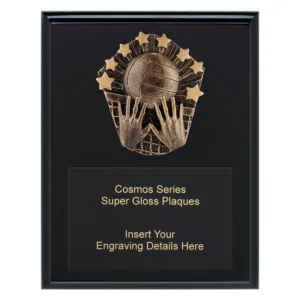 Black cosmos super plaque - volleyball with timber construction