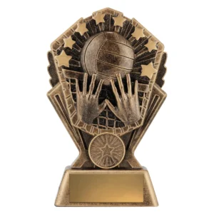 Gold cosmos - volleyball with resin construction