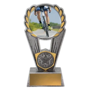 Silver cycling polaris - colour with resin construction