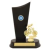yt8364a-gold Gold cycling timber crest with plastic / timber construction