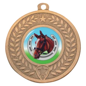 Bronze distinction - horse shoe with metal construction