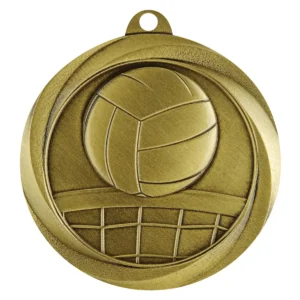 Gold econo volleyball with metal construction