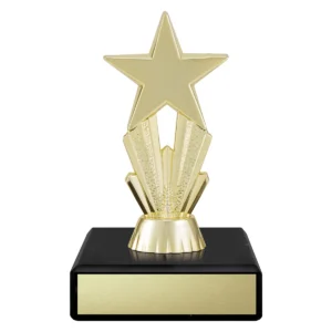 Gold enigma mini star with plastic / marble construction
