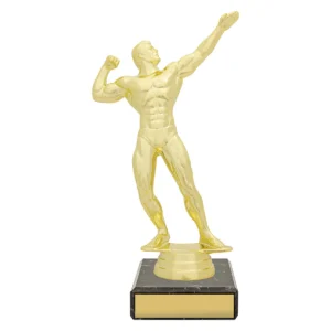 Gold figure trophy - bodybuilder with plastic / marble construction