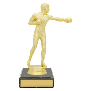 Gold figure trophy - boxing with plastic / marble construction