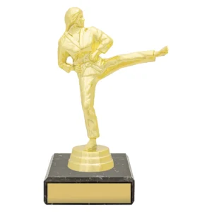 Gold figure trophy - female karate with plastic / marble construction