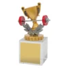 ub62a-silver Silver fitness budget crystal with crystal construction