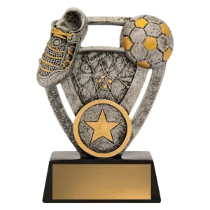 Silver football budget theme with resin construction