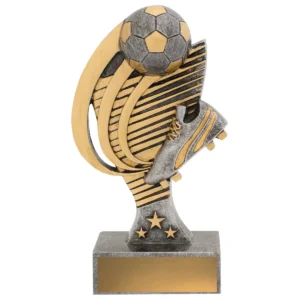 Silver football coda with resin construction