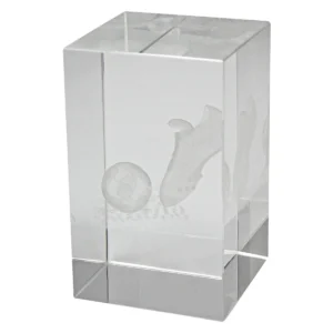 Football crystal block award with crystal construction