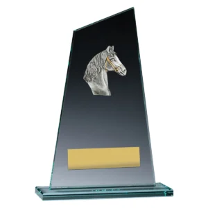 Glass peak - horse with glass construction