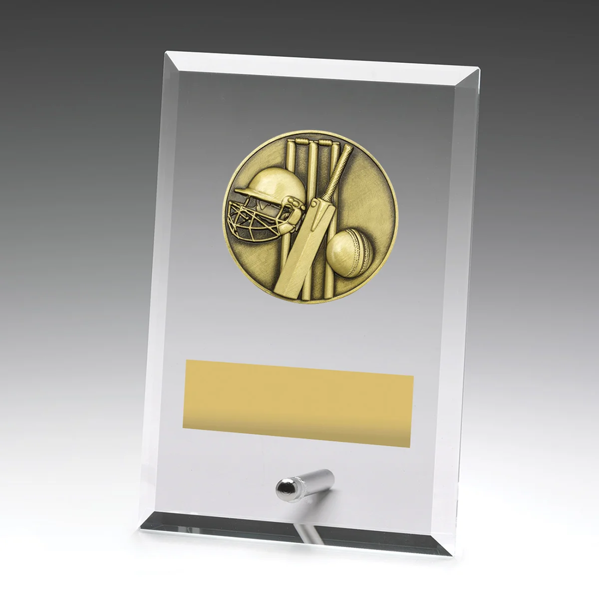 dy140a-grey-bg Glass plaques - cricket with glass construction