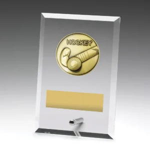Glass plaques - hockey with glass construction