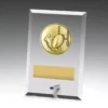 dy113a-grey-bg Glass plaques - league / union with glass construction