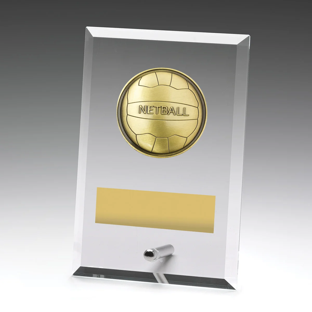 dy191a-grey-bg Glass plaques - netball with glass construction
