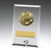 dy102a-grey-bg Glass plaques - swim with glass construction