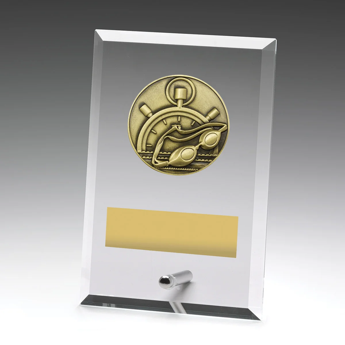 dy102a-grey-bg Glass plaques - swim with glass construction
