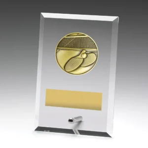 Glass plaques - table tennis with glass construction