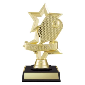 Black gold pickleball with plastic construction