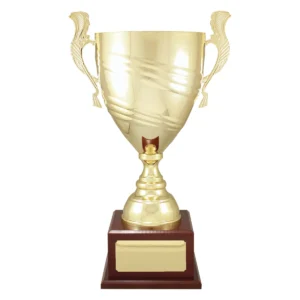 Gold gold prestige cup with metal / timber construction