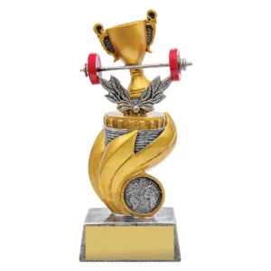 Silver gym flame with resin construction