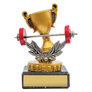 Black gym marble with marble construction