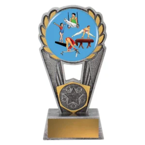 Silver gymnastics polaris - colour with resin construction