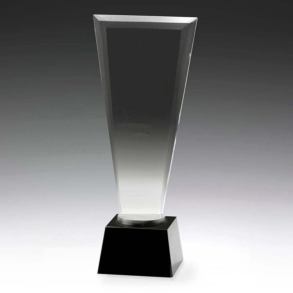 ck270-grey-bg Hallmark award with crystal / metal construction