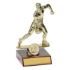 ar536a-rose-walnut Rose walnut handballer series with plastic / timber construction
