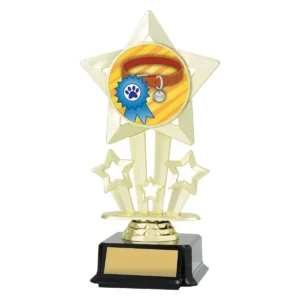 Gold icon star - ribbon & collar with plastic construction