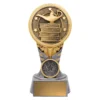 kn205a-silver-and-gold Silver & gold ikon - academic with resin construction