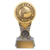 kn227a-silver-and-gold Silver & gold ikon - volleyball with resin construction