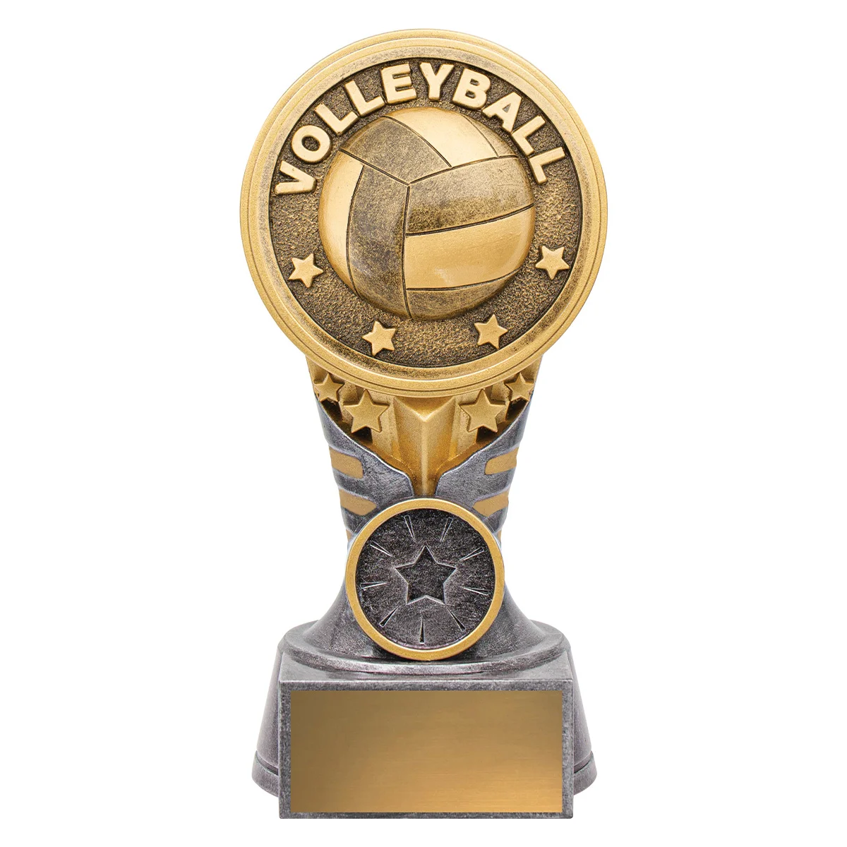 kn227a-silver-and-gold Silver & gold ikon - volleyball with resin construction