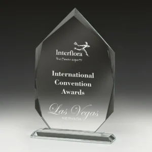 Integrity arrowhead with glass / metal construction