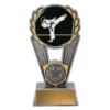 psk111a-silver Silver karate polaris - colour with resin construction